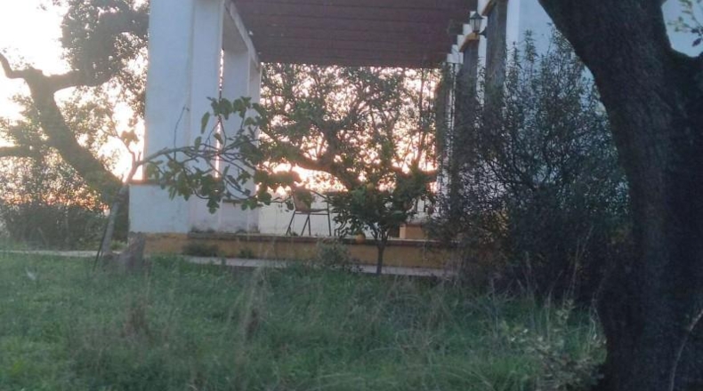 Córdoba - Villanueva del Rey - 135000m2