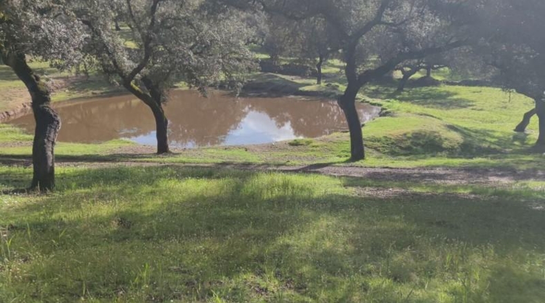 Córdoba - Villanueva del Rey - 135000m2