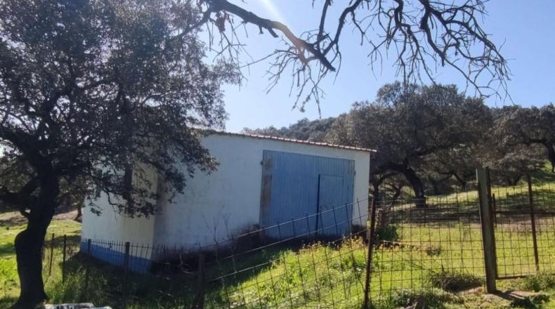 Córdoba - Villanueva del Rey - 135000m2