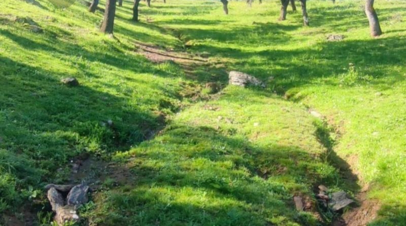 Córdoba - Villanueva del Rey - 135000m2