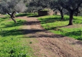 Xalet independent amb terreny en venda a la España, Villanueva del Fresno, ref.: TR399311 foto