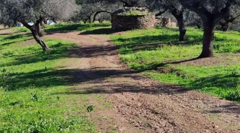 Córdoba - Villanueva del Rey - 135000m2