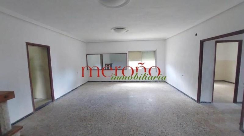 Alicante - Elche - 2500m2