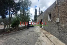 Elche 2500&nbsp;m²