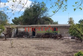 Elche 2500&nbsp;m²