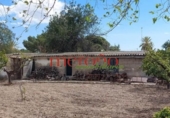 Casa de campo con terreno en venta en la España, Elche, ref: TR398634 foto