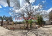 Casa de campo con terreno en venta en la España, Elche, ref: TR398634 foto