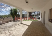 Casa de campo con terreno en venta en la España, Elche, ref: TR398634 foto