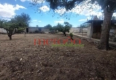 Casa de campo con terreno en venta en la España, Elche, ref: TR398634 foto