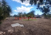Casa de campo con terreno en venta en la España, Elche, ref: TR398634 foto