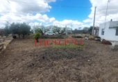 Casa de campo con terreno en venta en la España, Elche, ref: TR398634 foto