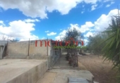 Casa de campo con terreno en venta en la España, Elche, ref: TR398634 foto