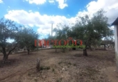 Casa de campo con terreno en venta en la España, Elche, ref: TR398634 foto