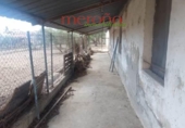 Casa de campo con terreno en venta en la España, Elche, ref: TR398634 foto