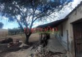 Casa de campo con terreno en venta en la España, Elche, ref: TR398634 foto