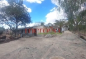 Casa de campo con terreno en venta en la España, Elche, ref: TR398634 foto