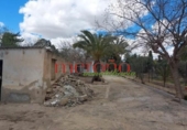 Casa de campo con terreno en venta en la España, Elche, ref: TR398634 foto
