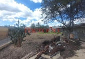 Casa de campo con terreno en venta en la España, Elche, ref: TR398634 foto