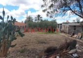 Casa de campo con terreno en venta en la España, Elche, ref: TR398634 foto