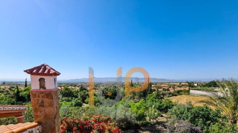 Almeria - Huércal-Overa - 2500m2