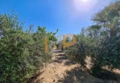 Finca rústica en venda a la España, Huércal-Overa, ref.: TR399471 foto