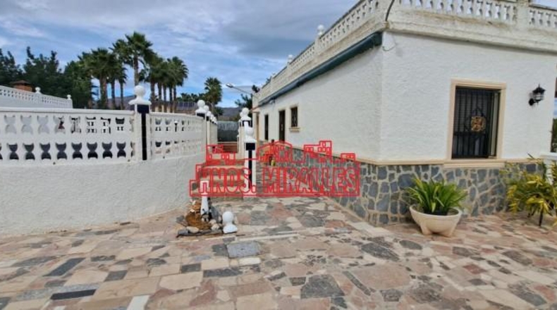 Alicante - Albatera - 3600m2