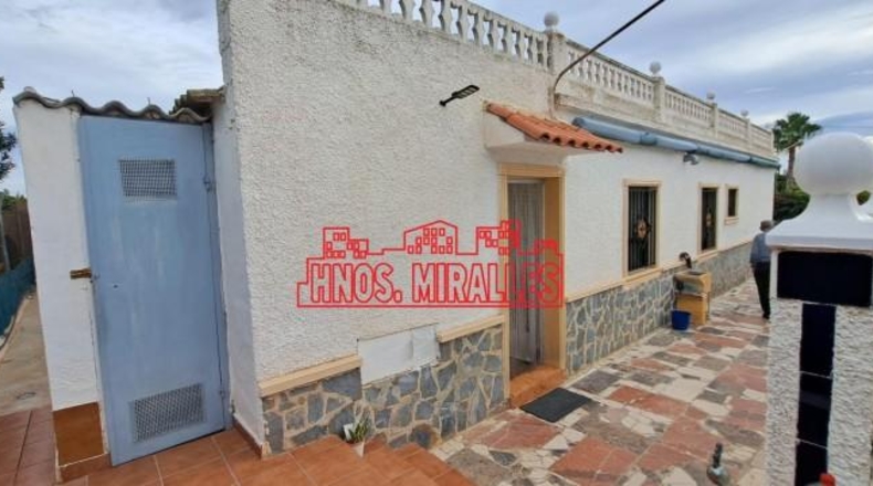 Alicante - Albatera - 3600m2