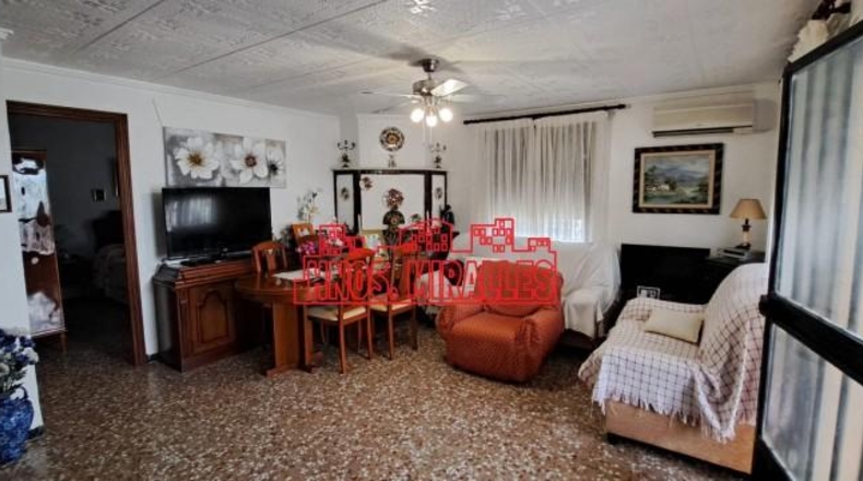 Alicante - Albatera - 3600m2