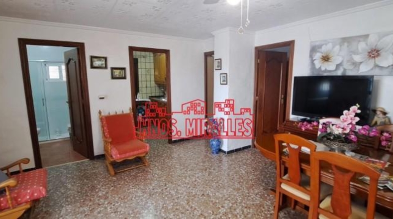 Alicante - Albatera - 3600m2