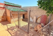 Xalet independent amb terreny en venda a la España, Oriola, ref.: TR399240 foto
