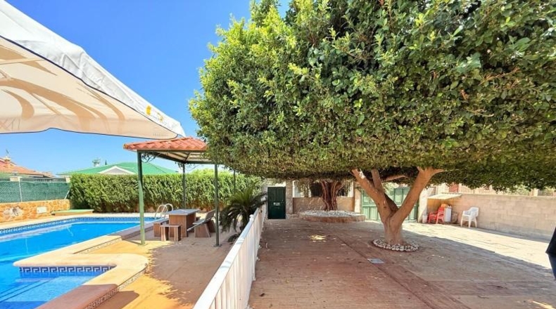 Alicante - Orihuela - 824m2