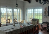 Detached villa with land for sale on España, Mérida, ref: TR397952 photo