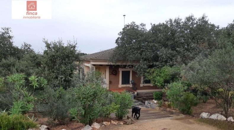 Badajoz - Valverde de Llerena - 59500m2