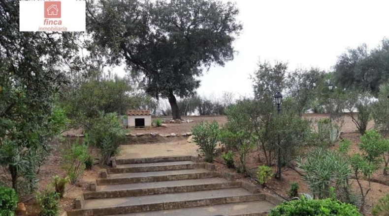 Badajoz - Valverde de Llerena - 59500m2