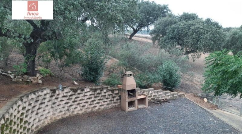 Badajoz - Valverde de Llerena - 59500m2