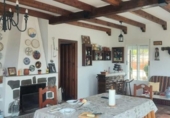 Detached villa with land for sale on España, Mérida, ref: TR397952 photo