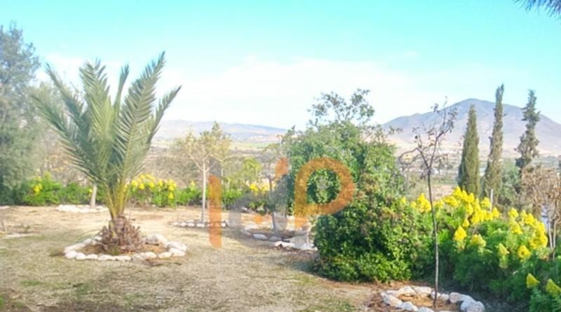 Murcia - Puerto Lumbreras - 150m2