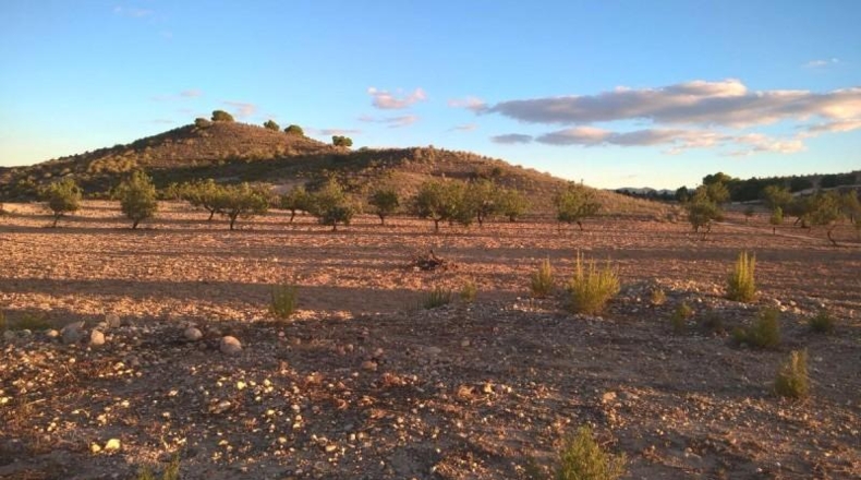 Murcia - Cartagena - 330754m2
