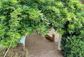 Foto 11