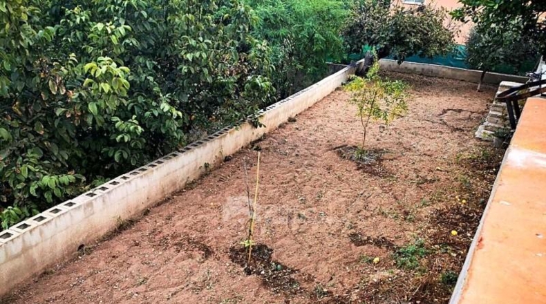 Castellón - Castellón de la Plana - 1028m2