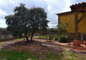 Xalet independent amb terreny en venda a la España, Valdepeñas, ref.: TR397878 foto