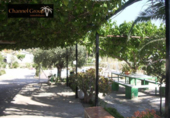 Casa de campo con terreno en venta en la España, Elche, ref: TR397954 foto