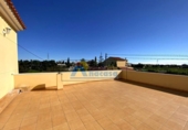 Detached villa with land for sale on España, Alginet, ref: TR399385 photo