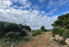 Sant Lluís 46103&nbsp;m²