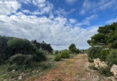 Suelo urbano en venta en la España, Sant Lluís, ref: TR394782 foto