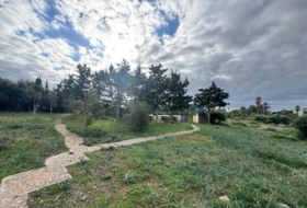Sant Lluís 46103&nbsp;m²