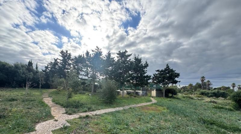 Balearic Islands - Platja de Binisafúller - 46103m2