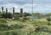 Suelo urbano en venta en la España, Sant Lluís, ref: TR394782 foto