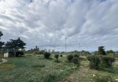 Suelo urbano en venta en la España, Sant Lluís, ref: TR394782 foto