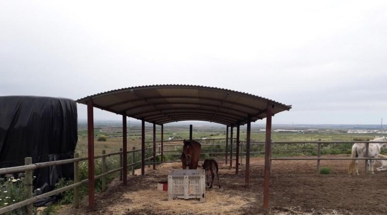 Badajoz - Burguillos del Cerro - 8433m2